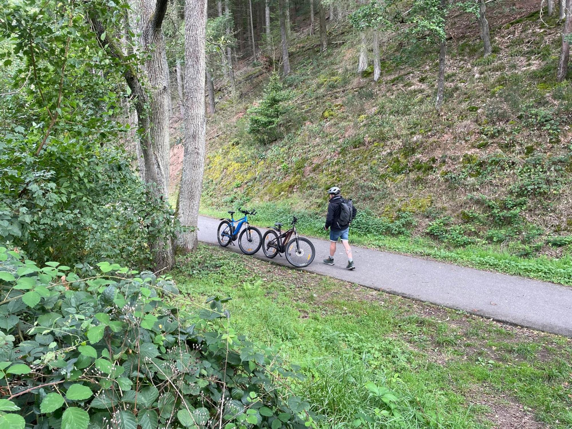 Pension Zur Quelle Deudesfeld ภายนอก รูปภาพ