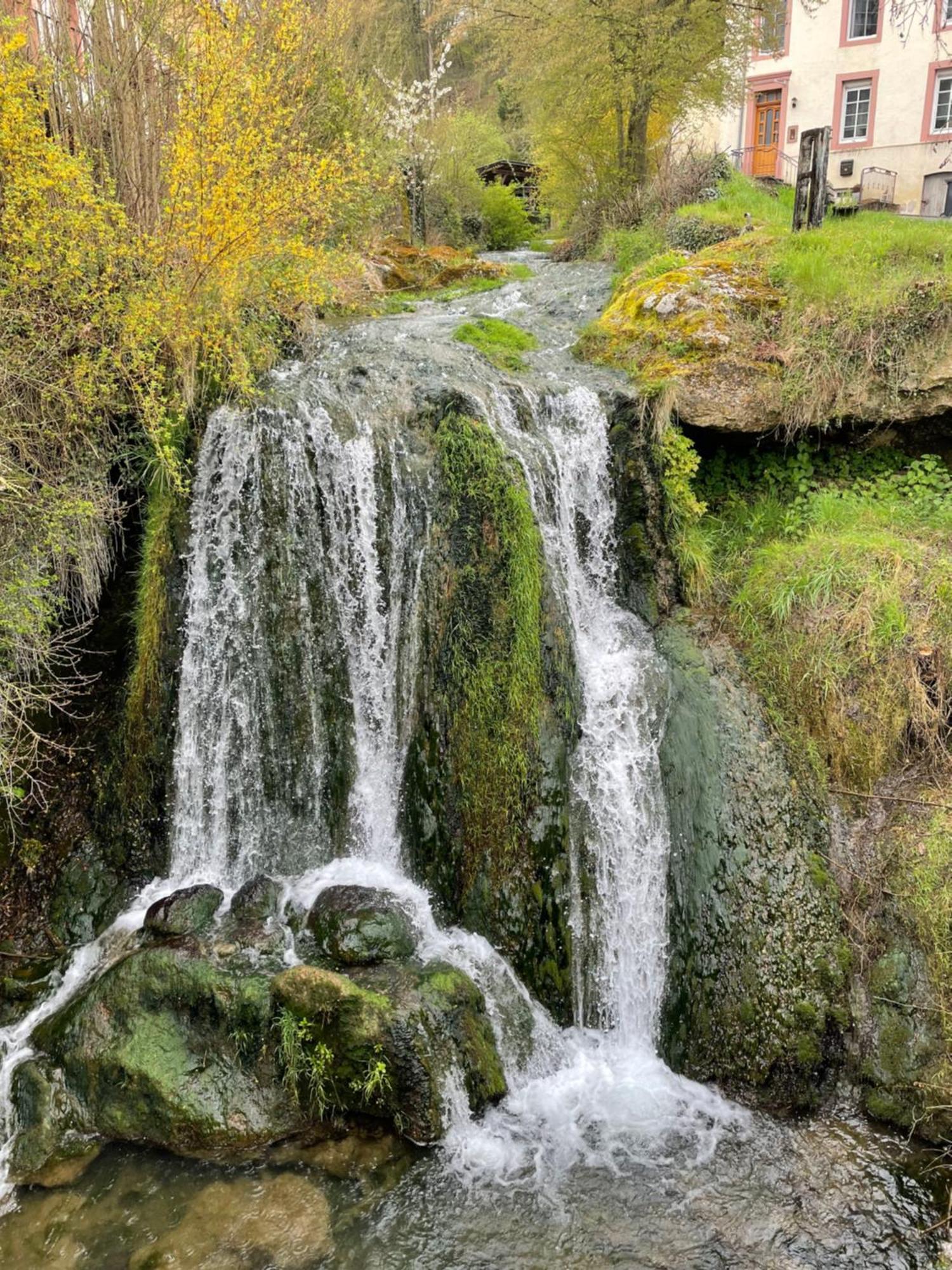 Pension Zur Quelle Deudesfeld ภายนอก รูปภาพ