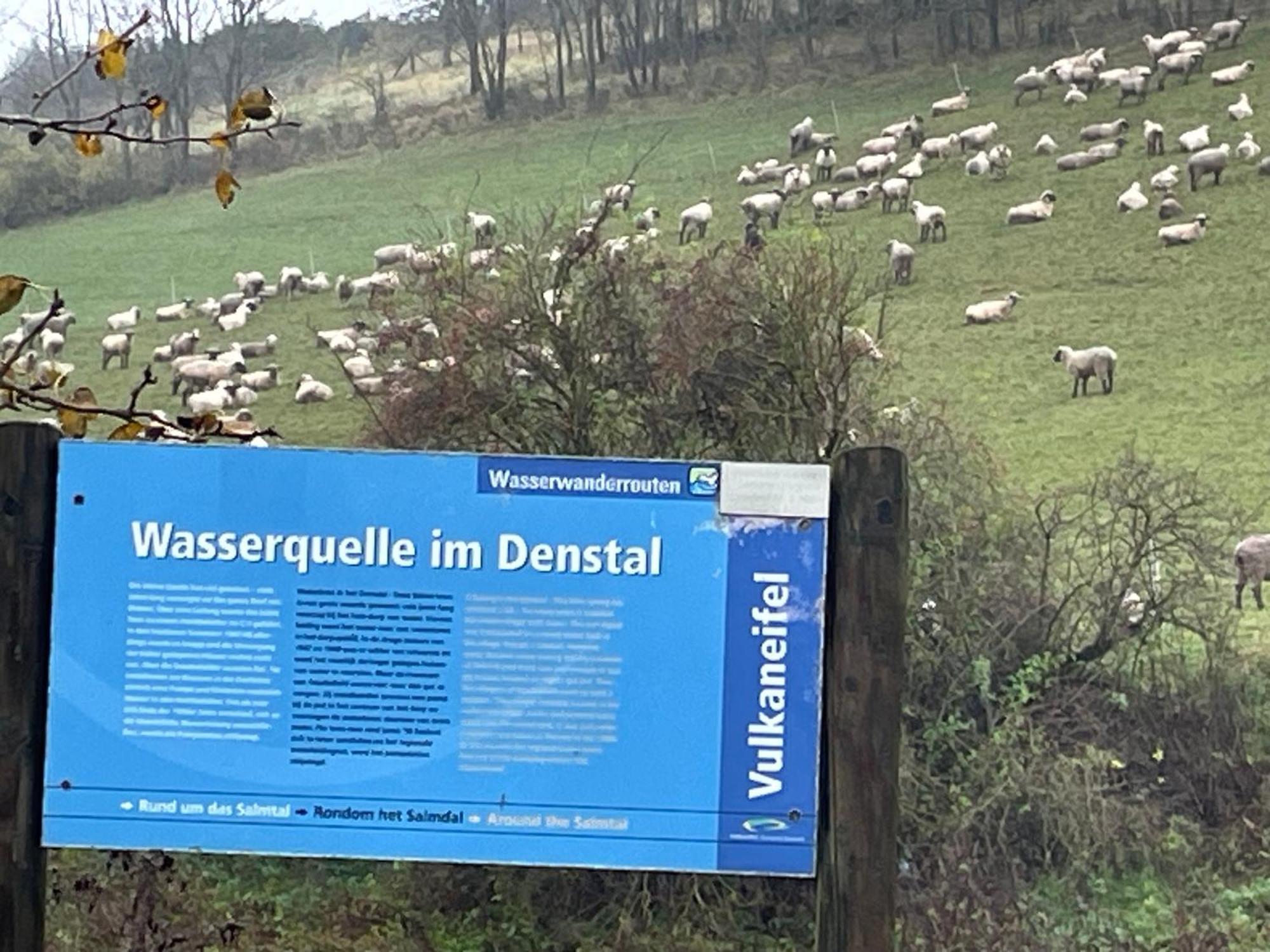 Pension Zur Quelle Deudesfeld ภายนอก รูปภาพ