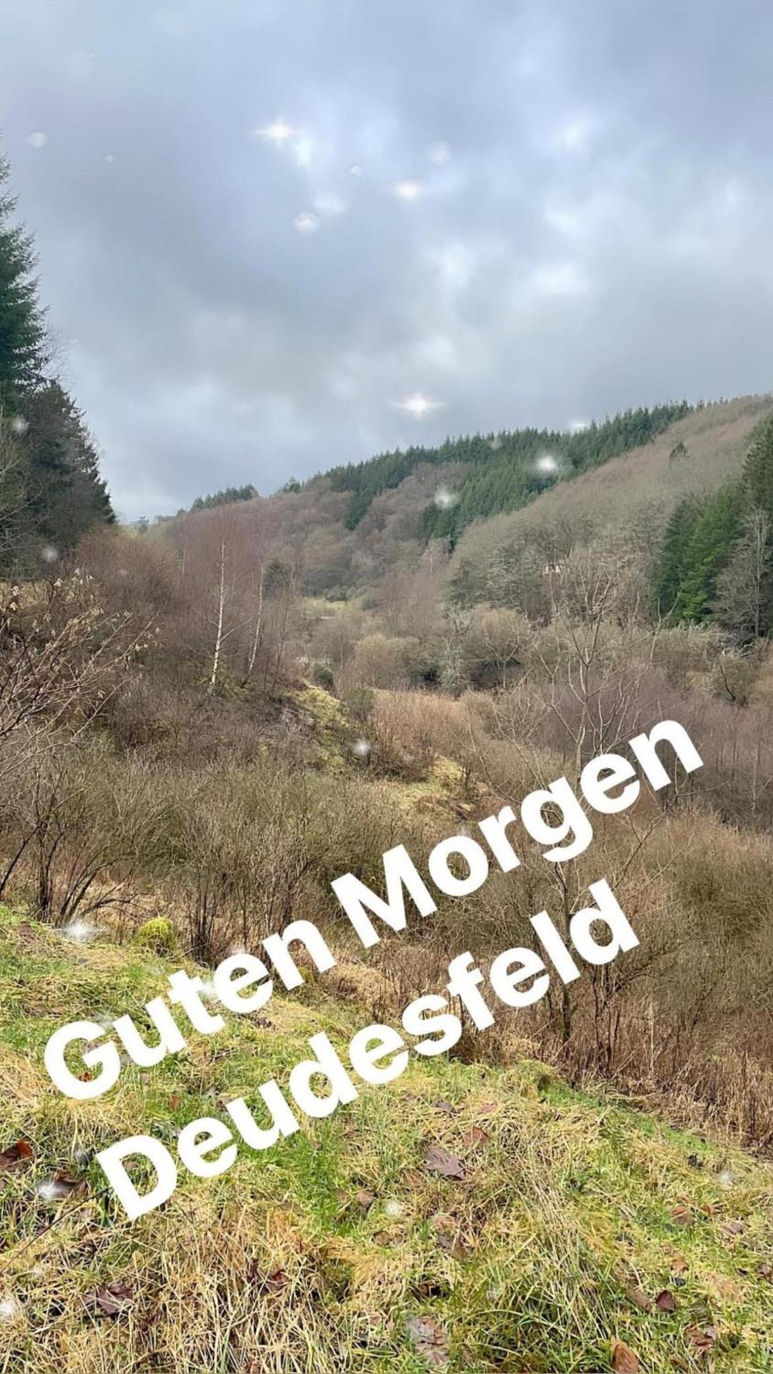 Pension Zur Quelle Deudesfeld ภายนอก รูปภาพ