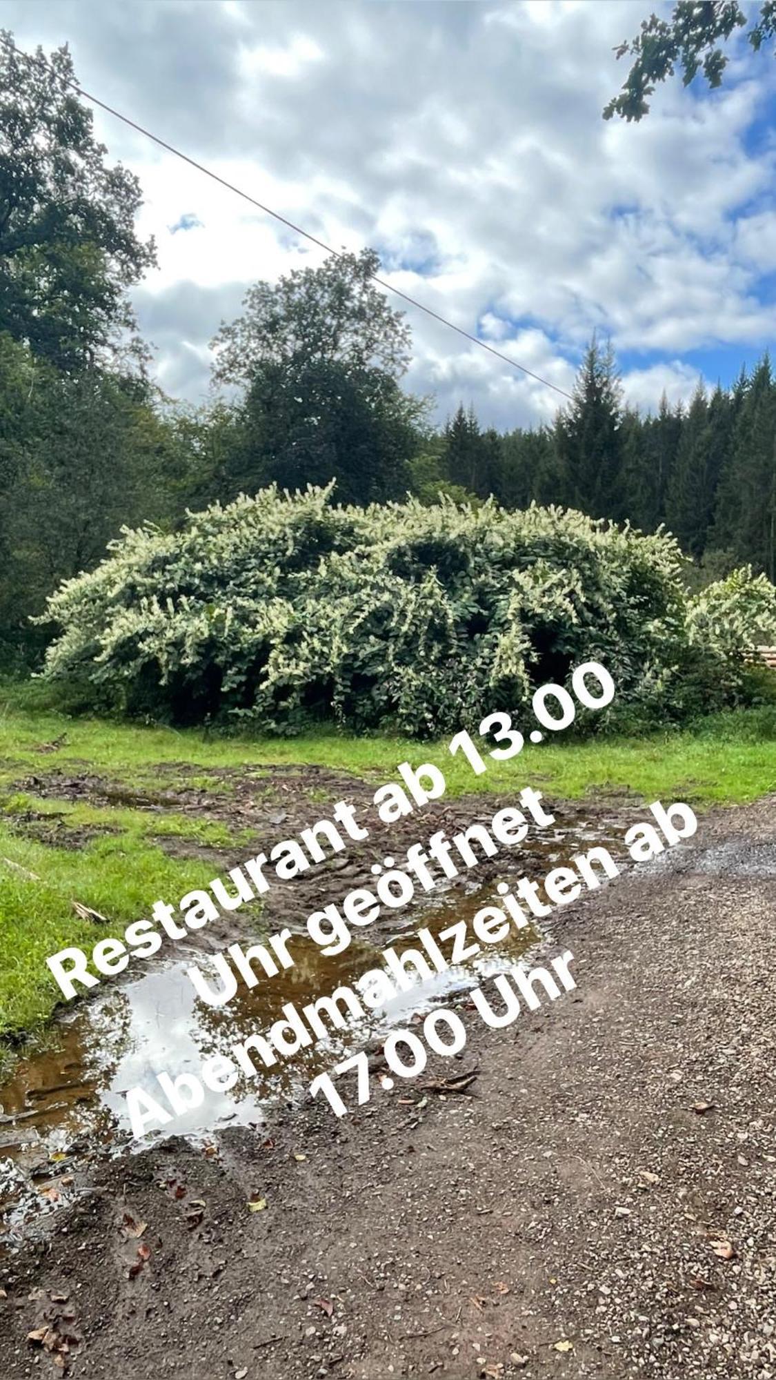 Pension Zur Quelle Deudesfeld ภายนอก รูปภาพ